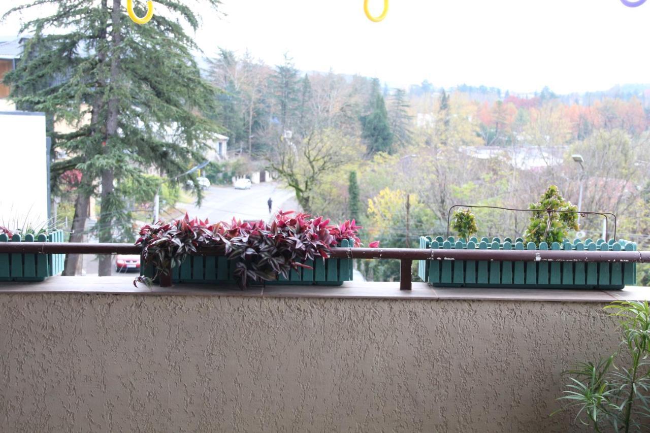 Tskaltubo Hotel Terrace Kültér fotó